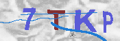 Immagine CAPTCHA